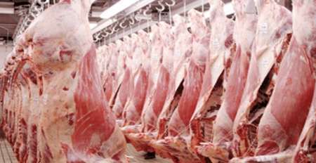 افزون بر11هزار تن گوشت قرمز از سیستان و بلوچستان به سایر استانهاحمل شد