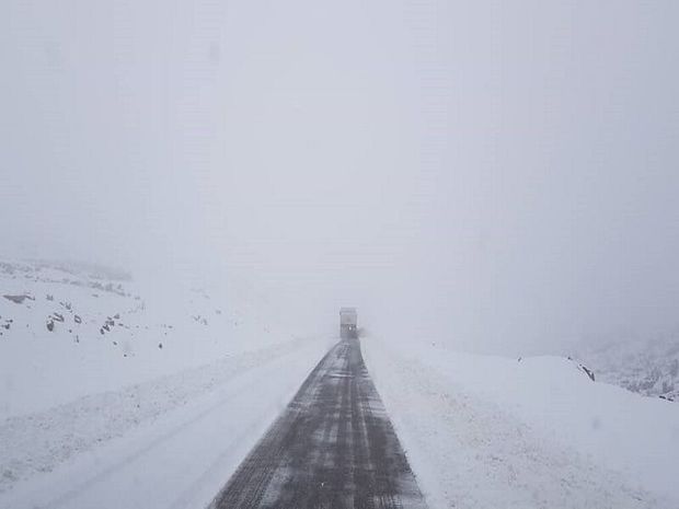 سرنشینان ۳۸ خودروی گرفتار در برف اندیکا نجات یافتند