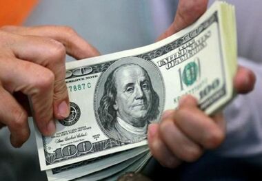تکلیف ارز 4200 تومانی برای کالاهای اساسی به زودی مشخص می‌شود