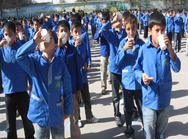 ۱۵۰ هزار دانش‌آموز خراسان جنوبی از شیر رایگان برخوردار شدند