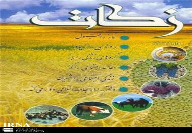 بیش از 13 میلیارد ریال زکات در شهرستان ابهر جمع آوری شد