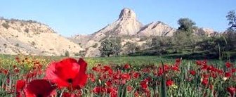 برگزاری جشن نوروز 96 در نوروزگاه‌های ایلام  استفاده از خانه‌های روستایی برای بوم‌گردی