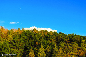 طبیعت زیبای پارک آب و آتش تهران