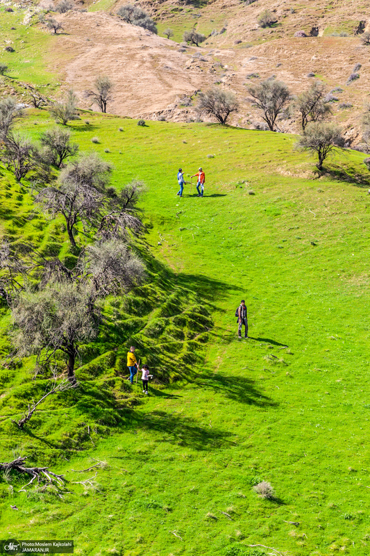 طبیعت بکر و زیبای«کفشکنان»