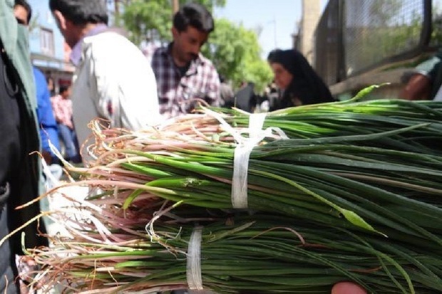 سینمای قدیم یاسوج زیر سایه «بیلهر»