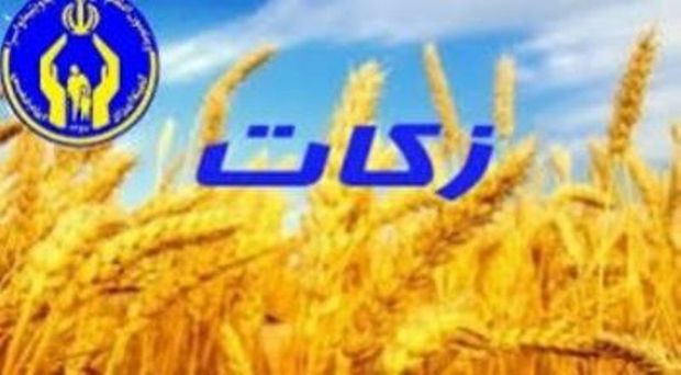 ۶۸ میلیارد ریال زکات در کهگیلویه و بویراحمد پرداخت شد