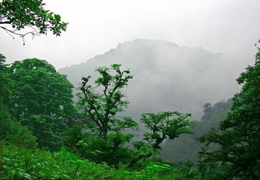 الواح میراث جهانی گیلان رونمایی می شود