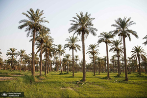 منتخب تصاویر امروز جهان- 29 تیر