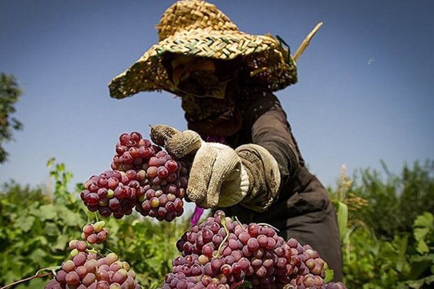 رفع موانع سرمایه گذاری در روستاهای سمنان ضروری است