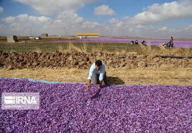 تدوین برنامه اشتغال برای ۹۲ روستای خراسان شمالی