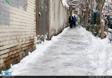 خسارت 116 میلیارد تومانی برف بهاری به باغداران آملی
