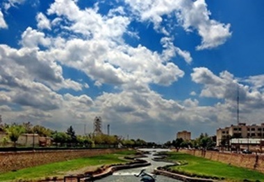 خشکاندن عمدی 