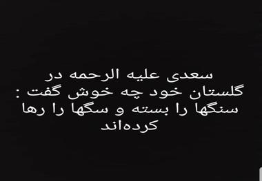 واکنش سخنگوی دولت به محدودیت اینستاگرام در انتشار تصاویر شهید سپهبد سلیمانی با جمله ای از سعدی