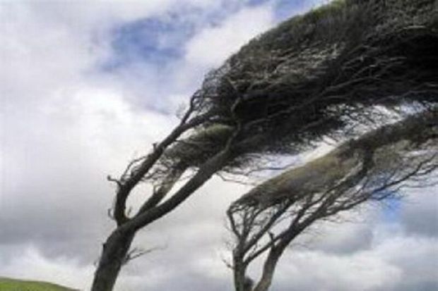 تداوم وزش باد شدید در همدان