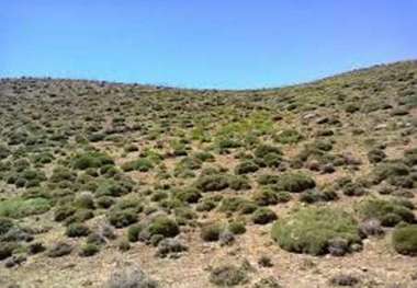 اجرای طرح توانمندسازی روستایی در300 هکتار ازعرصه های منابع طبیعی هرمزگان