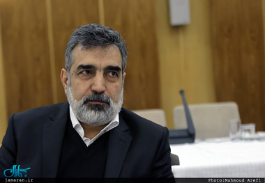 تأمین بودجه نیروگاه بوشهر با حمایت دولت