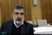 سخنگوی سازمان انرژی اتمی: رابطه ایران و آژانس رو به جلو است