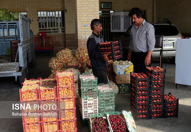 میدان میوه‌ و تره‌بار الغدیر اهواز تعطیل نمی‌شود   دلالان حذف می‌شوند