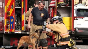 منتخب تصاویر امروز جهان- 11 تیر 1400