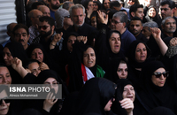 63508669_Alireza-Mohammadi-3074