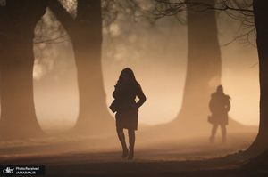 منتخب تصاویر امروز جهان - 19 و 20 بهمن 1403