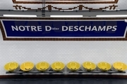 نامگذاری یک ایستگاه مترو در فرانسه به نام دشان + عکس

