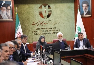 انصاری، معاون رئیس جمهور: محیط زیست جایگاه شایسته خود را در نظام آموزش و پرورش ندارد