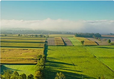 چرا آمریکا به دنبال منع چینی‌ها از خرید زمین‌های کشاورزی خود است؟