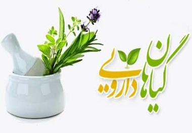 هرمزگان250 هزارهکتار رویشگاه گیاهان دارویی ، صنعتی و خوراکی دارد