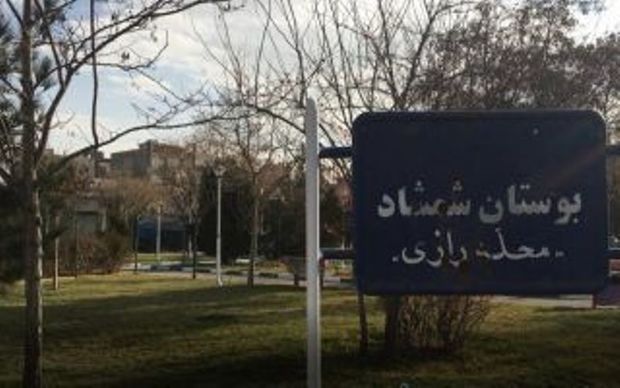دادستان مشهد خواستار توقف عملیات قلع و قمع درختان شمشماد شد