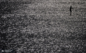 منتخب تصاویر امروز جهان - 4 تیر 1401