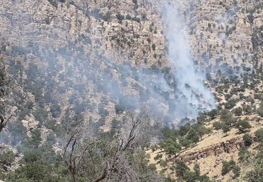 آتش دوباره در جنگل های «اندیکا » زبانه کشید