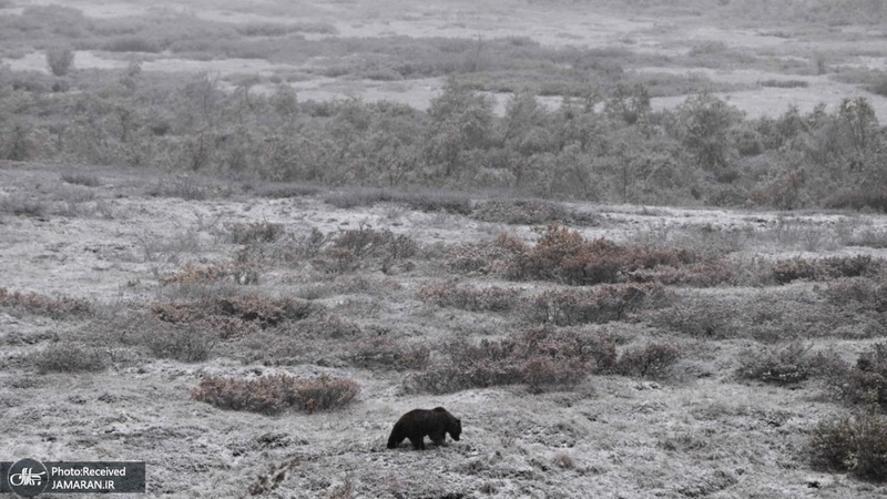 منتخب تصاویر امروز جهان - 1 آبان 1401