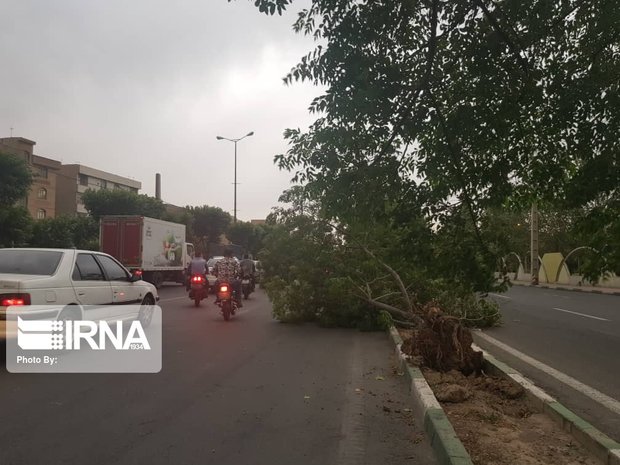 تندباد جاده گرگان -کردکوی را بست