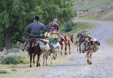 عشایر اندیکا راه برگشت به خوزستان را پیش گرفتند