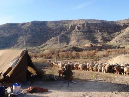 امداد رسانی به 300 خانوار عشایری کوچ رو کهگیلویه و بویراحمد