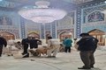 آرامگاه ابدی رهبر شهید + عکس