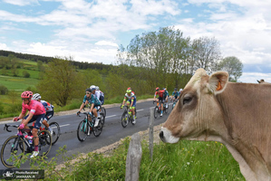 منتخب تصاویر امروز جهان- 11 خرداد 1400