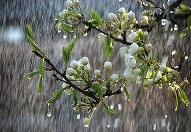 بارندگی ۱۸ شهرستان خراسان رضوی را فراگرفت