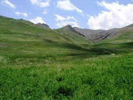 بیش از 77 هکتار از اراضی ملی فراهان از دست متصرفان خارج شد