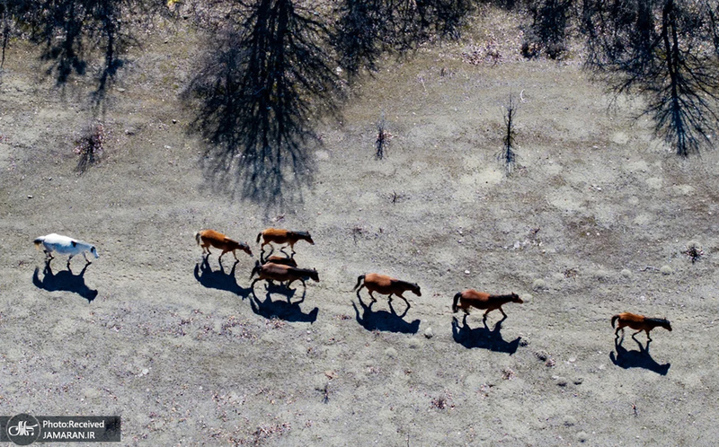 منتخب تصاویر امروز جهان - 24 و 25 اسفند 1403