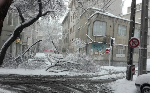 مشکل برق در البرز تا ساعاتی دیگر به طور کامل حل می شود