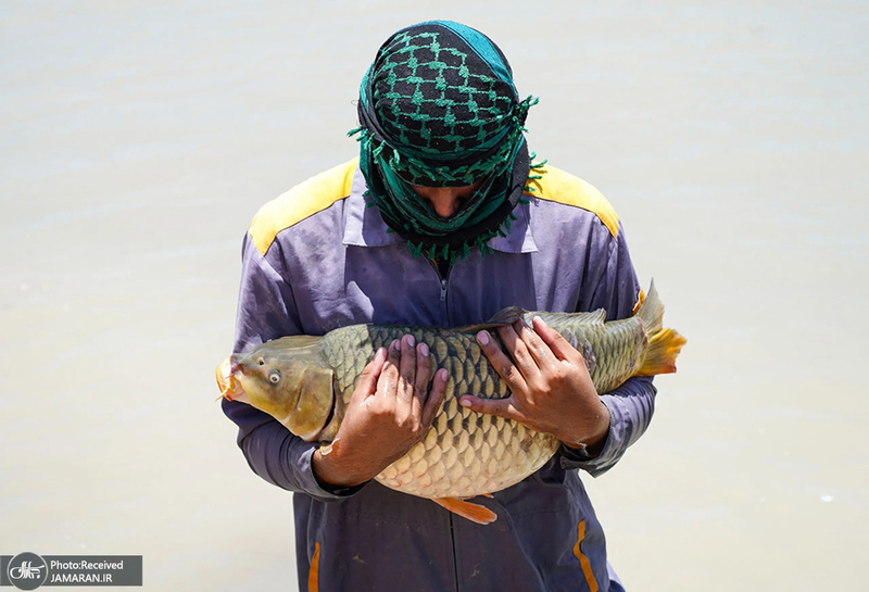 منتخب تصاویر امروز جهان- 24 خرداد 1400