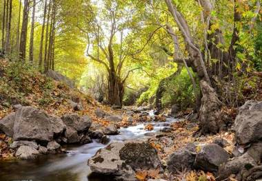 فارسبان نهاوند منطقه بکر در توسعه گردشگری روستایی است