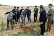 غرس 1000 اصله نهال توسط مجرم محیط زیستی در تاکستان