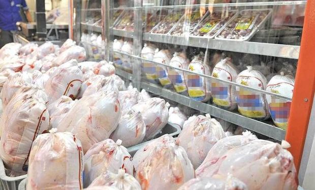 گوشت مرغ به اندازه کافی در بازار استان سمنان موجود است