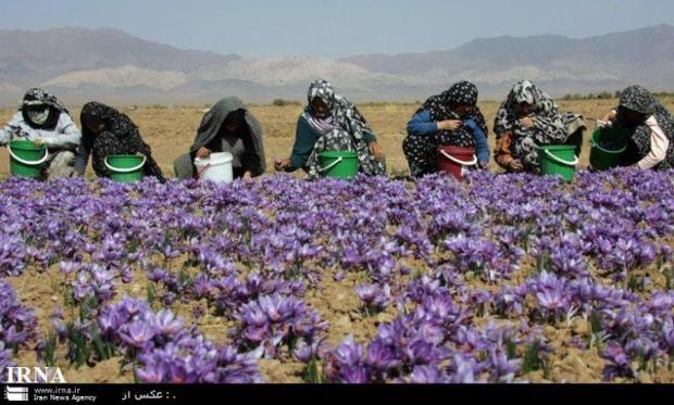 تسهیلات روستایی، گامی برای رفع بیکاری در روستاها