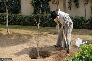 کاشت نهال در روز درختکاری توسط رهبر معظم انقلاب