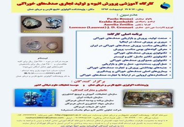 تولید تجاری صدف های خوراکی با همکاری ایتالیا وفرانسه در بندرعباس