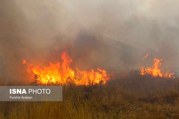 شهروندان آتش‎‌سوزی مراتع را به ۱۵۰۴ گزارش دهند